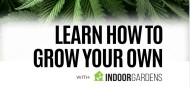 Learn How to Grow Your Own