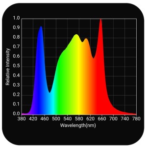 DiabloSpectrum (1)