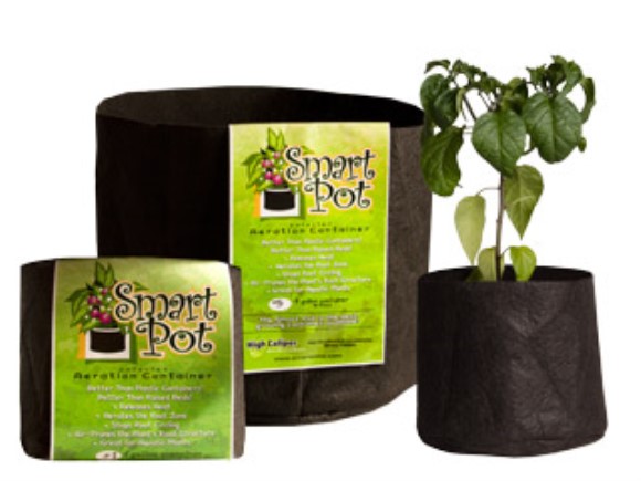 Smart Pot Grow Container